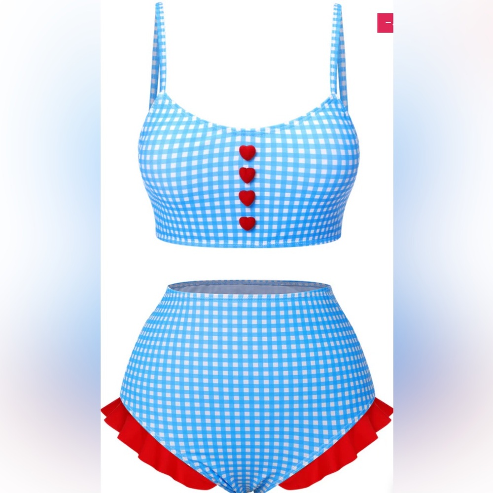 Blue and Red Gingham Bikini Set